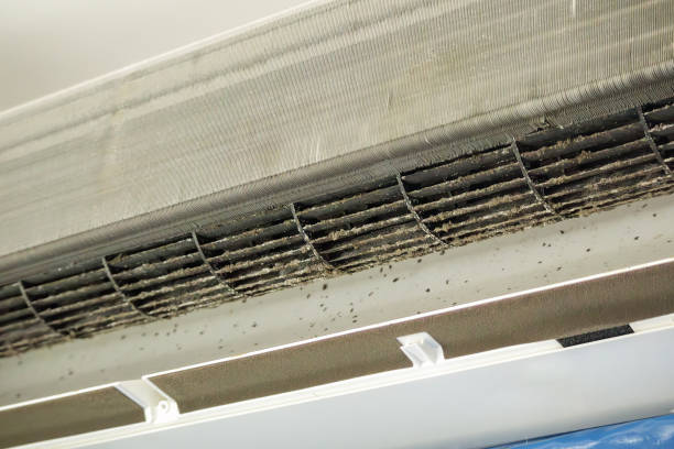Best HVAC Maintenance and Cleaning  in Atchison, KS